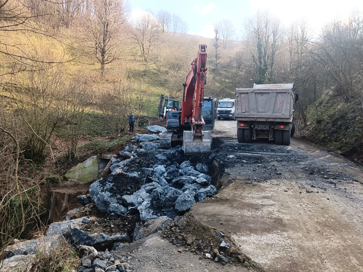 472637443 18053602706284741 6780574019616910663 N