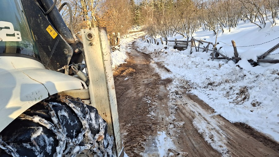 472710673 18054765284284741 7760290176624858778 N-1