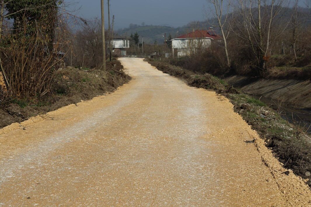 474434992 18053630132284741 6331935326463400426 N