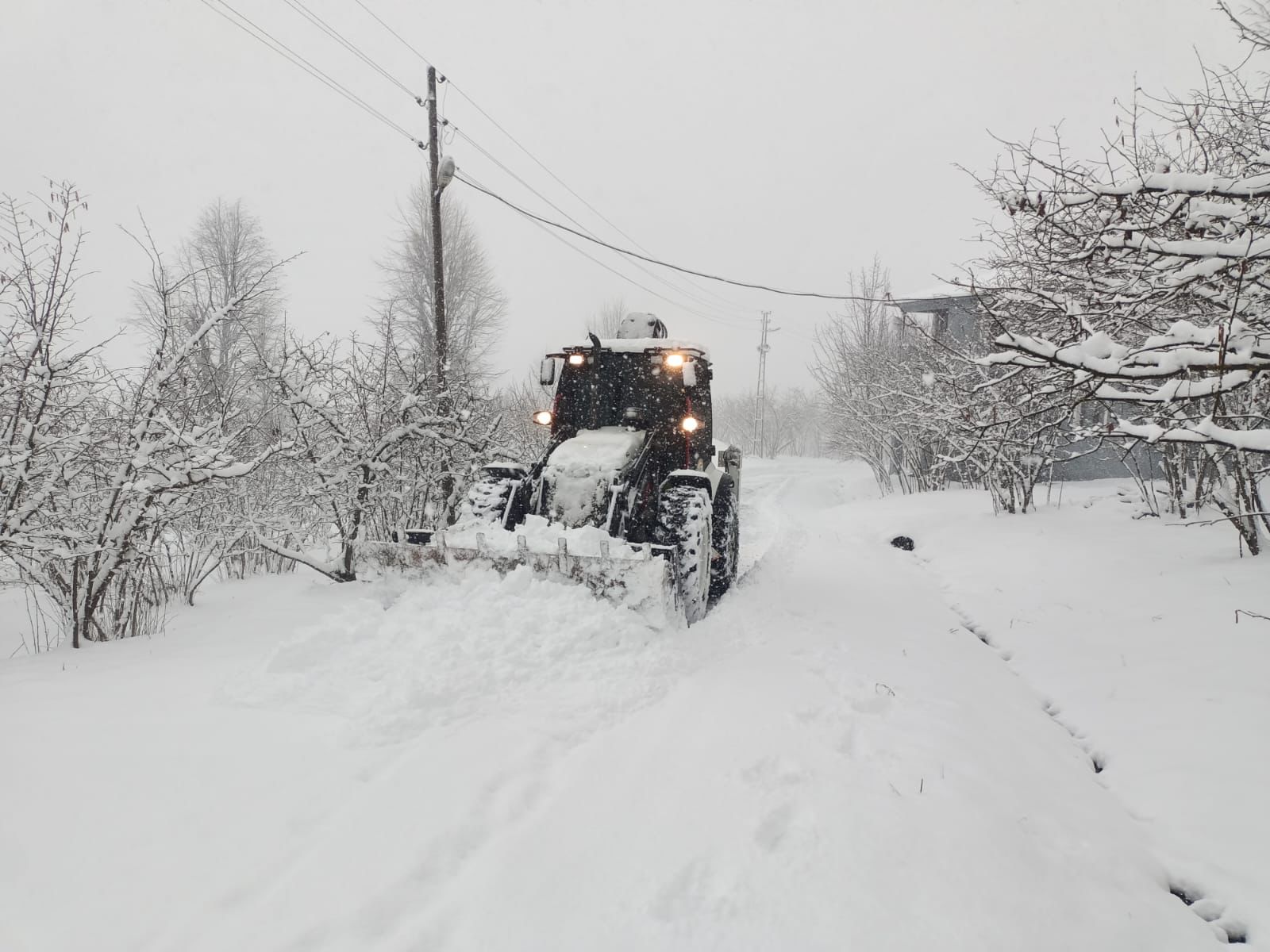 478723431 1140447377754903 2560038180412917833 N