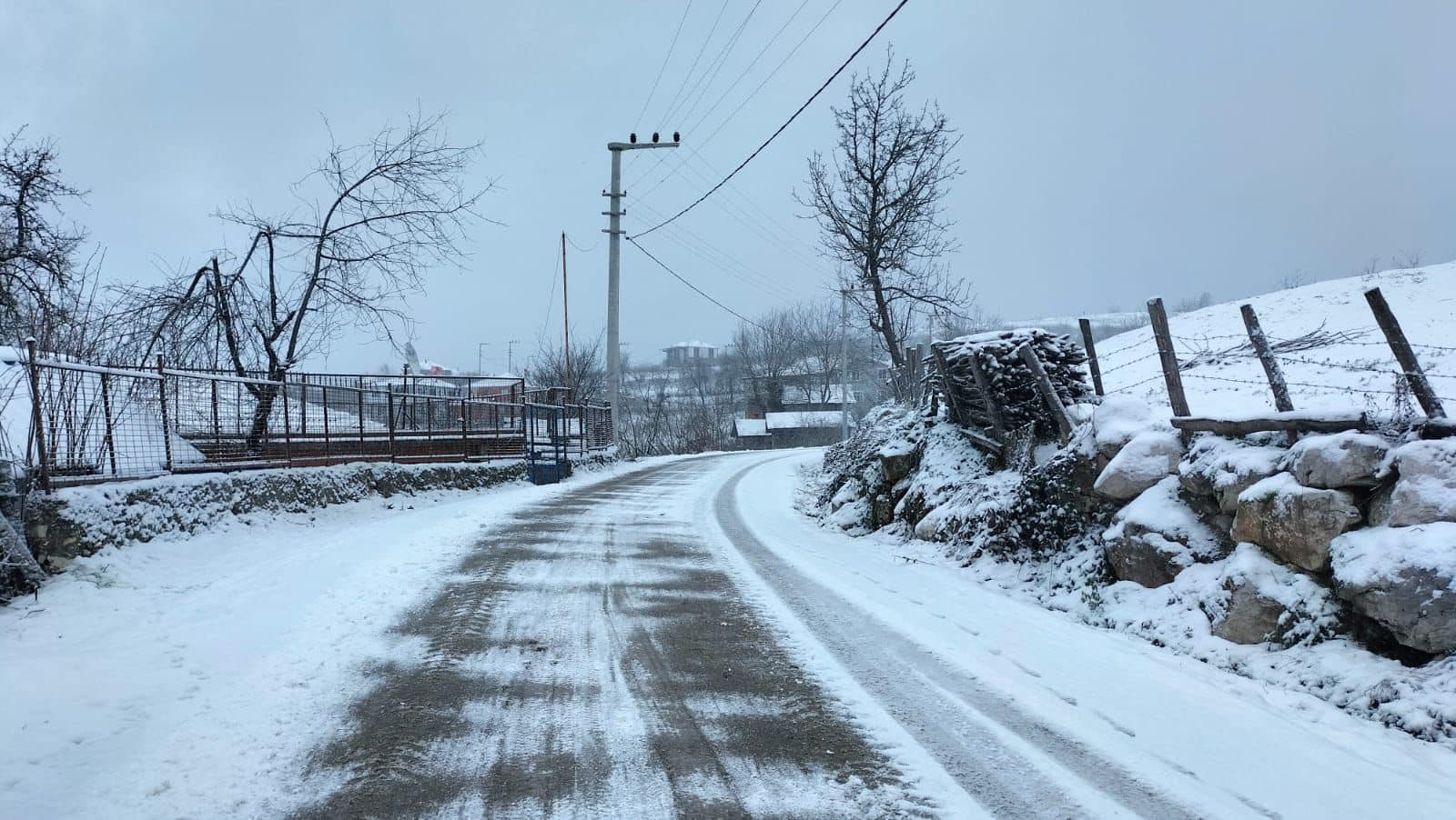 480524188 1138906954575612 5532460201424934262 N