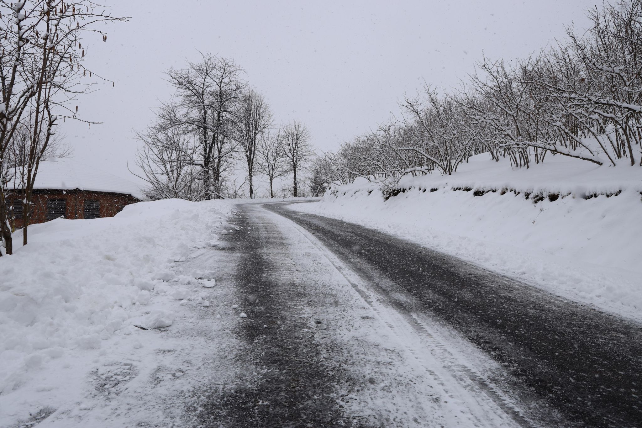 480822816 1140447474421560 4026222422373929691 N