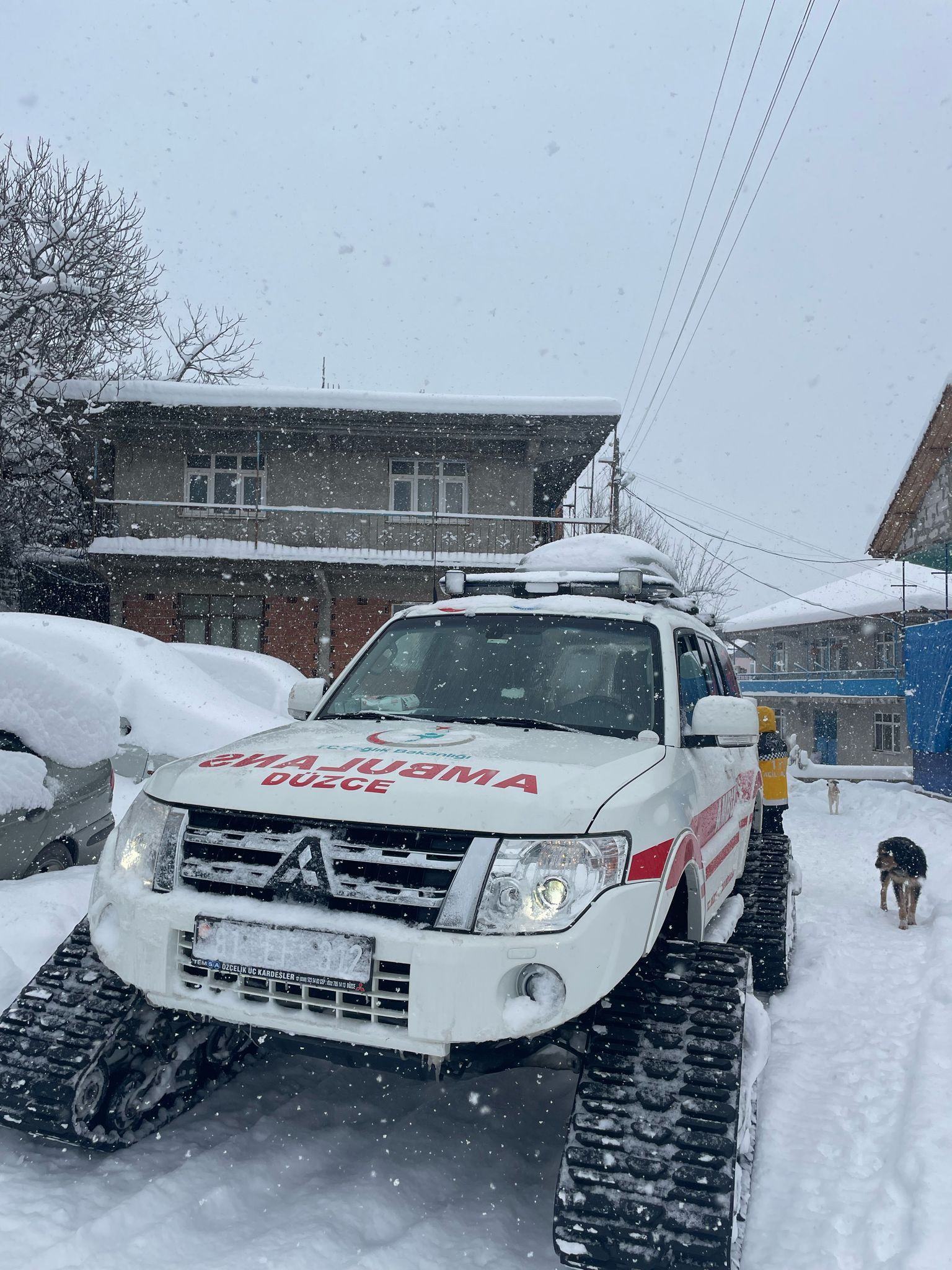 480869127 948638230776339 5212607971465854977 N