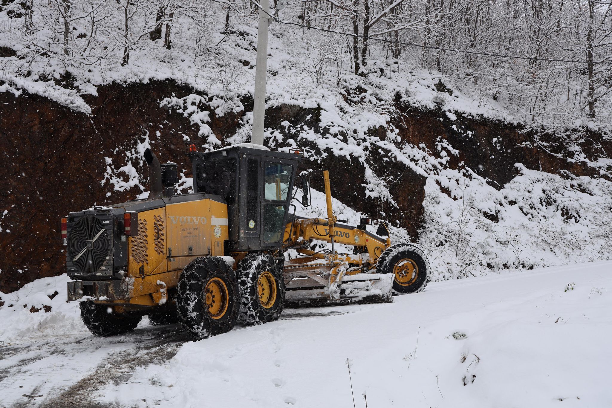 481082628 1140447511088223 4218010919283023409 N