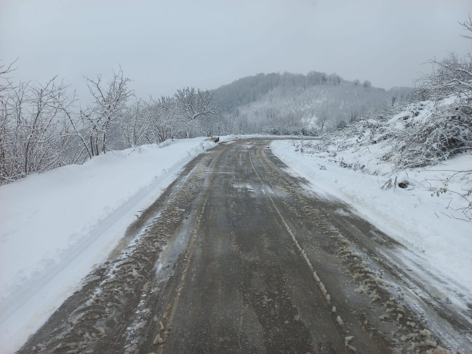 481213966 1138906897908951 1067309106051726179 N