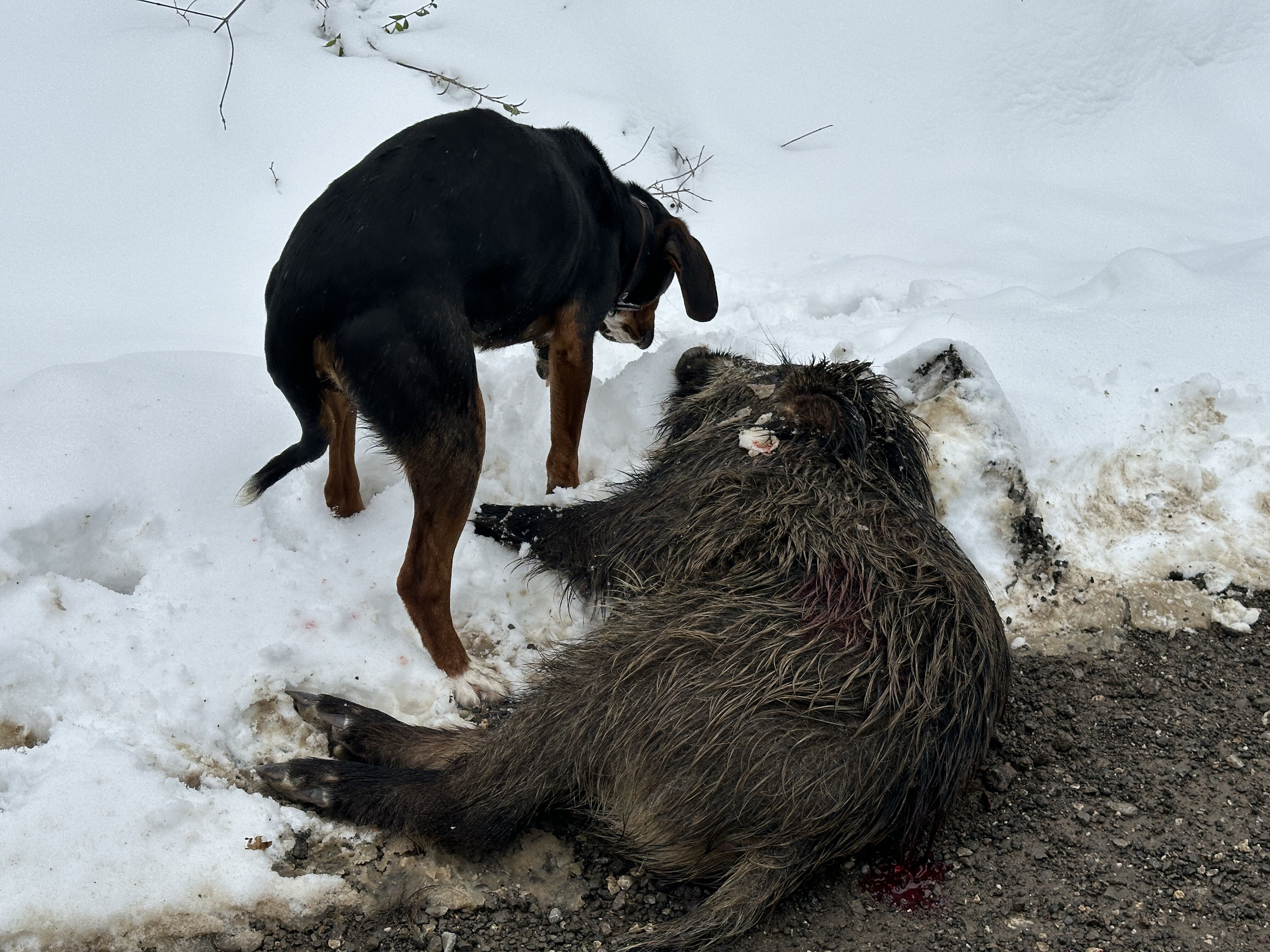 A A 20250208 36994186 36994179 D U Z C E D E K O Y L U L E R D O M U Z N O B E T I N D E