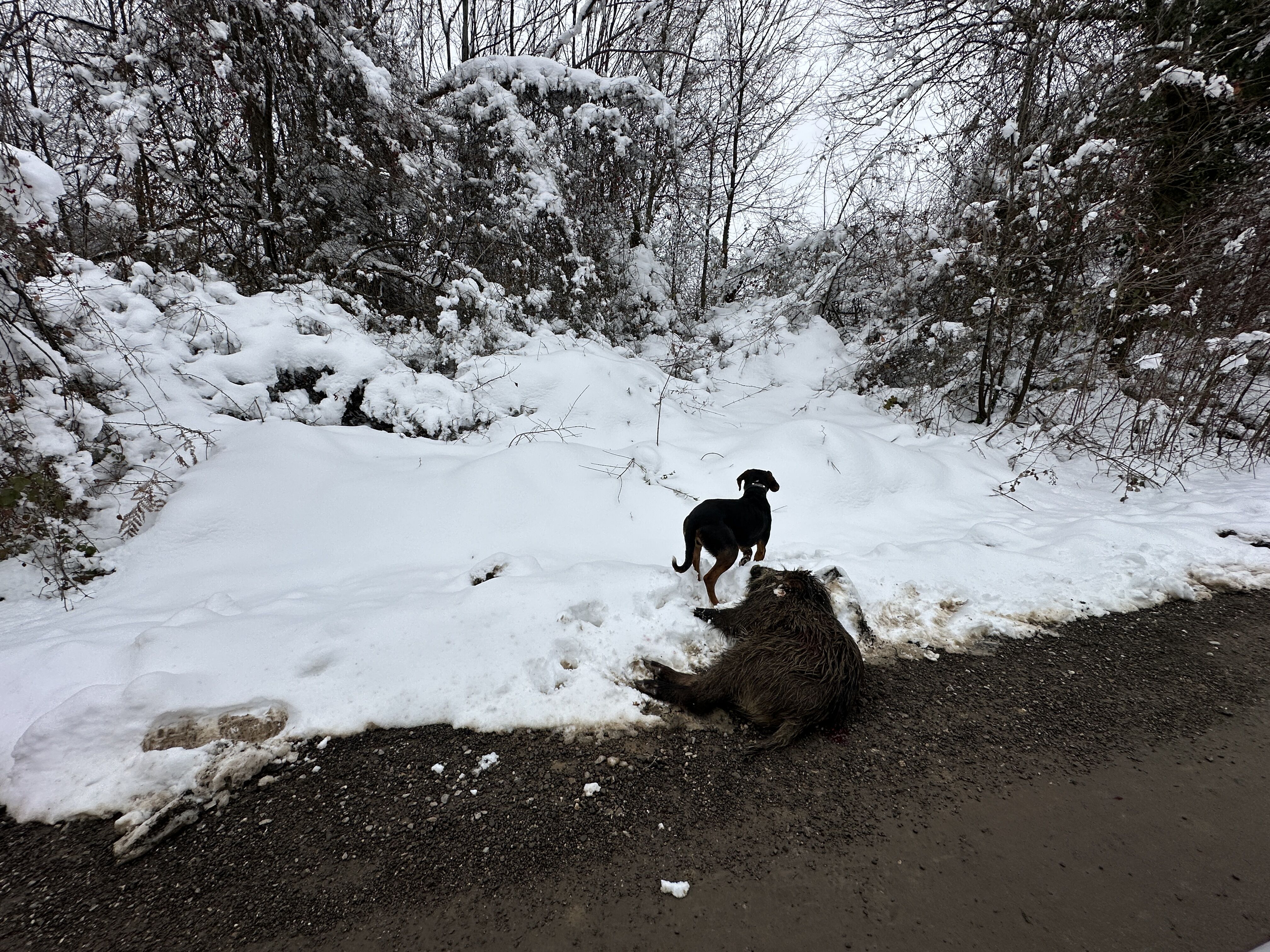 A A 20250208 36994186 36994180 D U Z C E D E K O Y L U L E R D O M U Z N O B E T I N D E