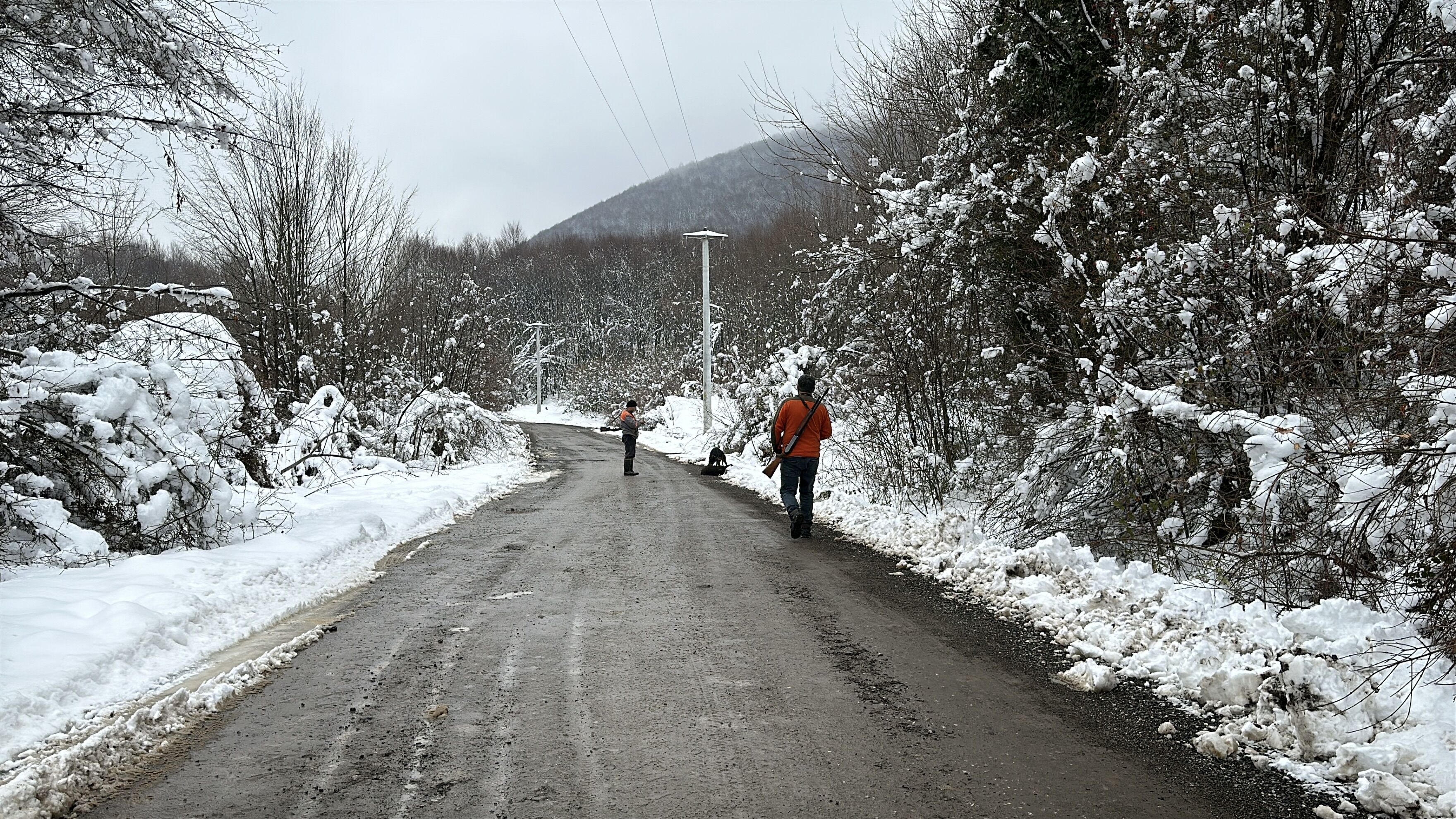 A A 20250208 36994186 36994181 D U Z C E D E K O Y L U L E R D O M U Z N O B E T I N D E