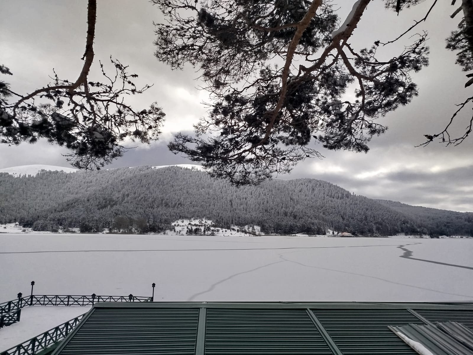 A A 20250212 37029106 37029099 A B A N T G O L U N U N Y U Z E Y I B U Z T U T T U