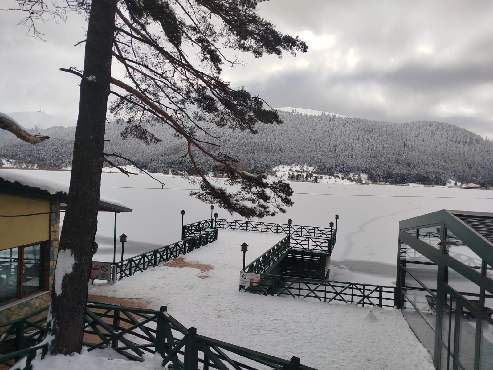 A A 20250212 37029106 37029101 A B A N T G O L U N U N Y U Z E Y I B U Z T U T T U