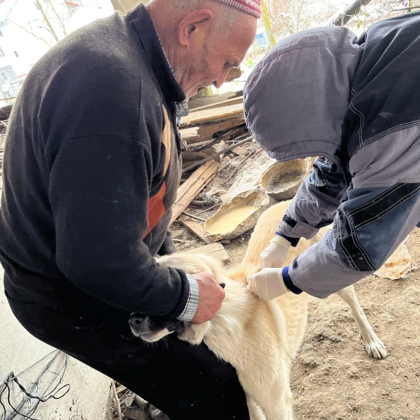 A A 20250218 37086205 37086202 Y I G I L C A D A S A H I P L I H A Y V A N L A R I A S I L A M A V E K I M L I K L E N D I R M E C A L I S M A L A R I S U R U Y O R