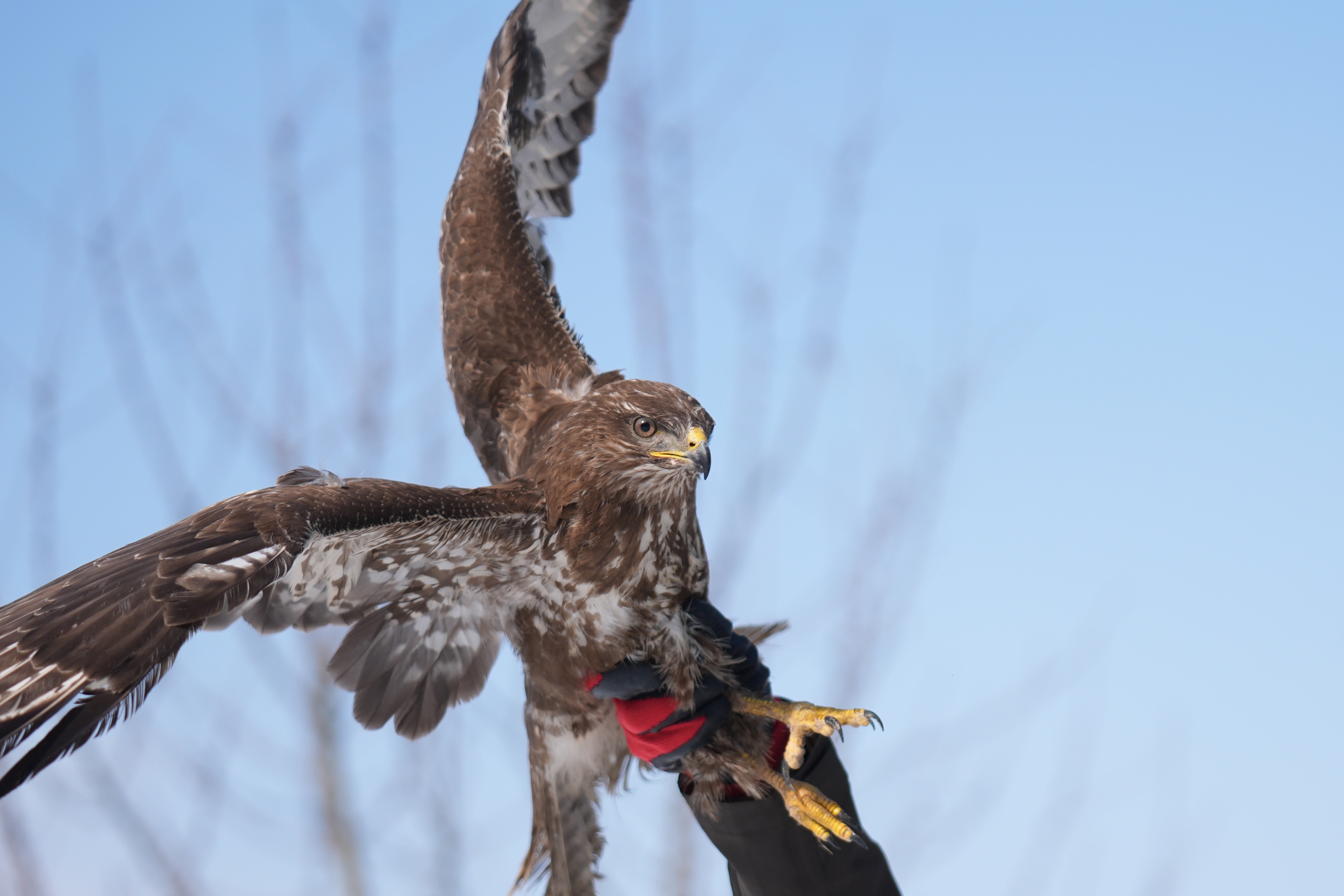 A A 20250226 37170358 37170346 U Z M A N E L L E R D E I Y I L E S T I R I L E N K I Z I L S A H I N L E R Y E N I D E N G O K Y U Z U Y L E B U L U S A C A K