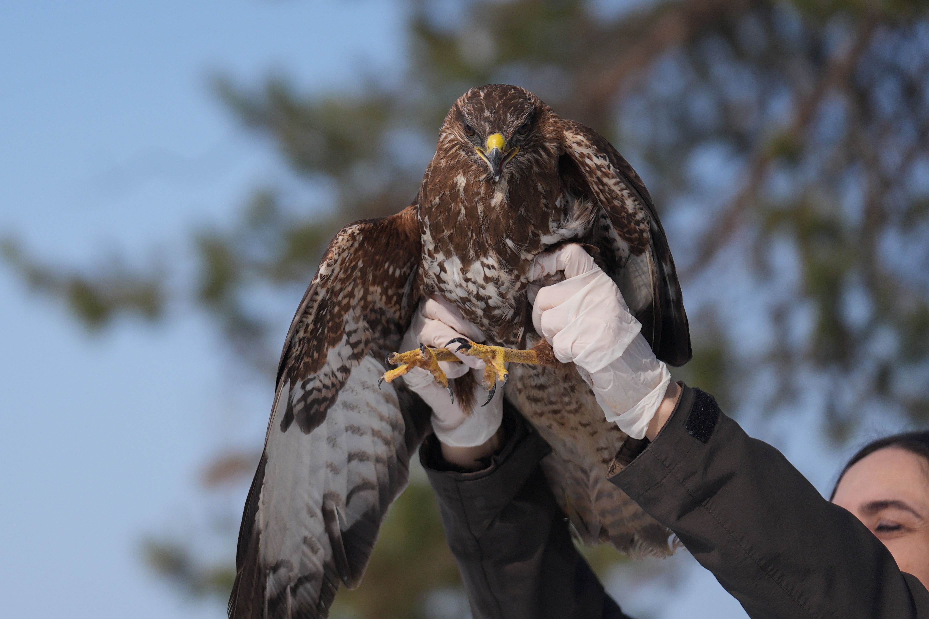 A A 20250226 37170358 37170352 U Z M A N E L L E R D E I Y I L E S T I R I L E N K I Z I L S A H I N L E R Y E N I D E N G O K Y U Z U Y L E B U L U S A C A K