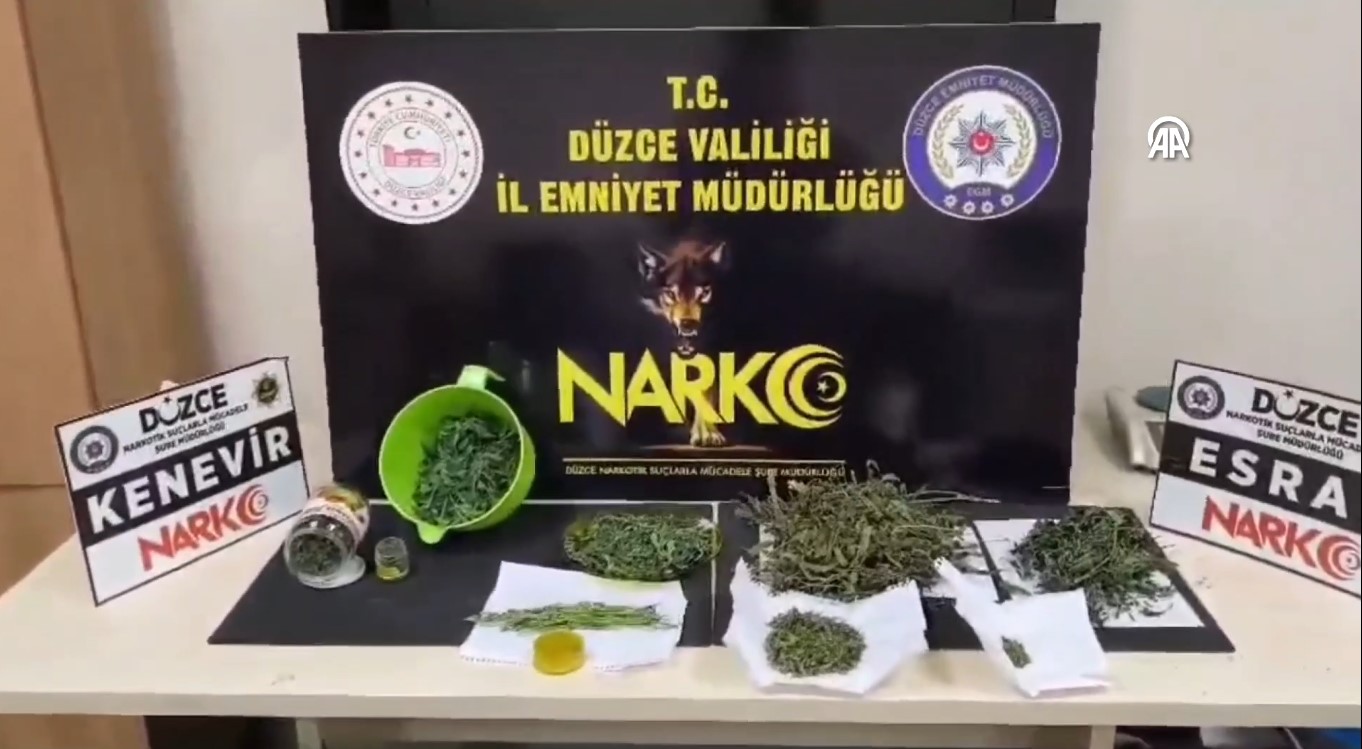 Aadasd Sad Asdasdsadasd