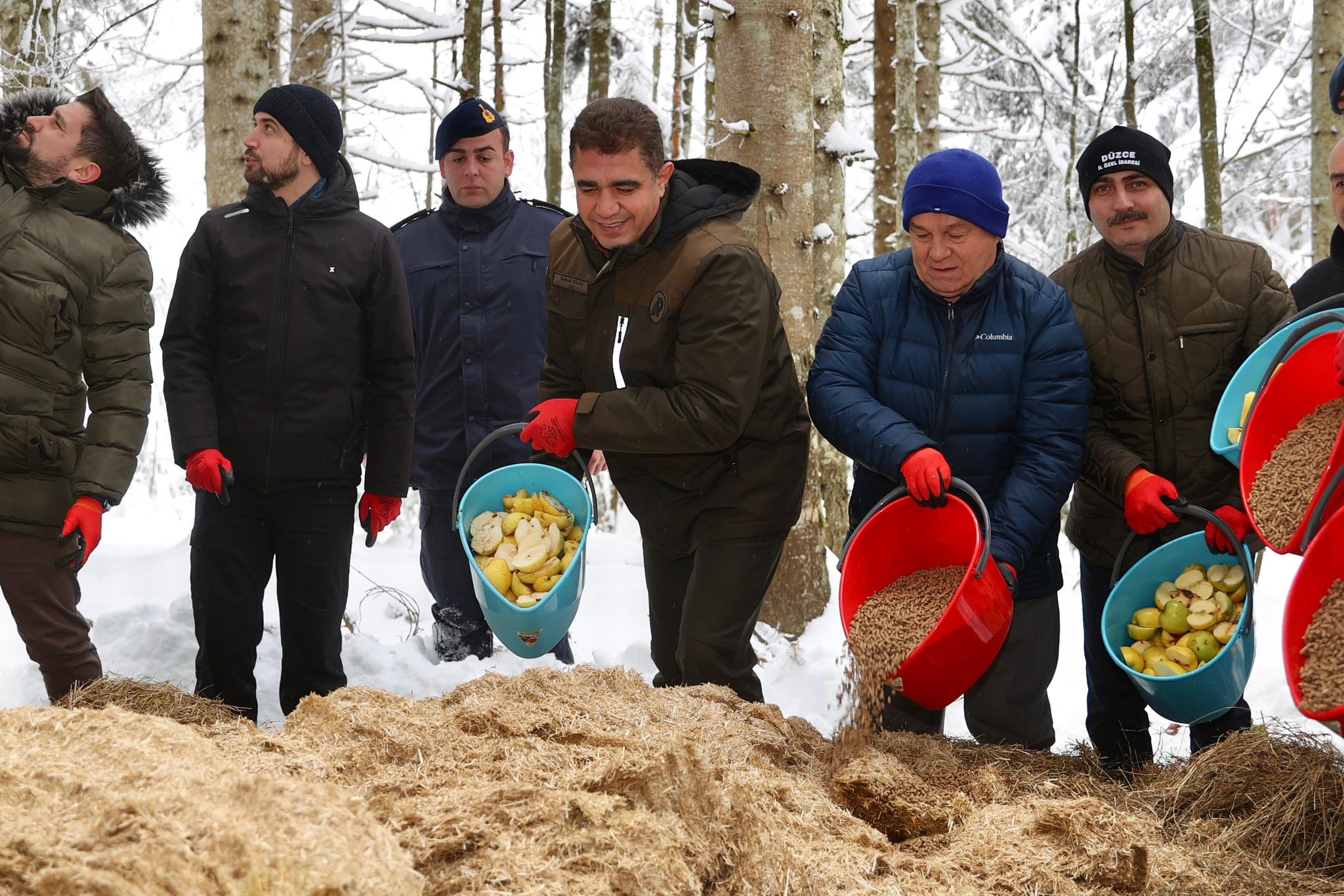 Gj Vp Bg1 X A A A Chp A