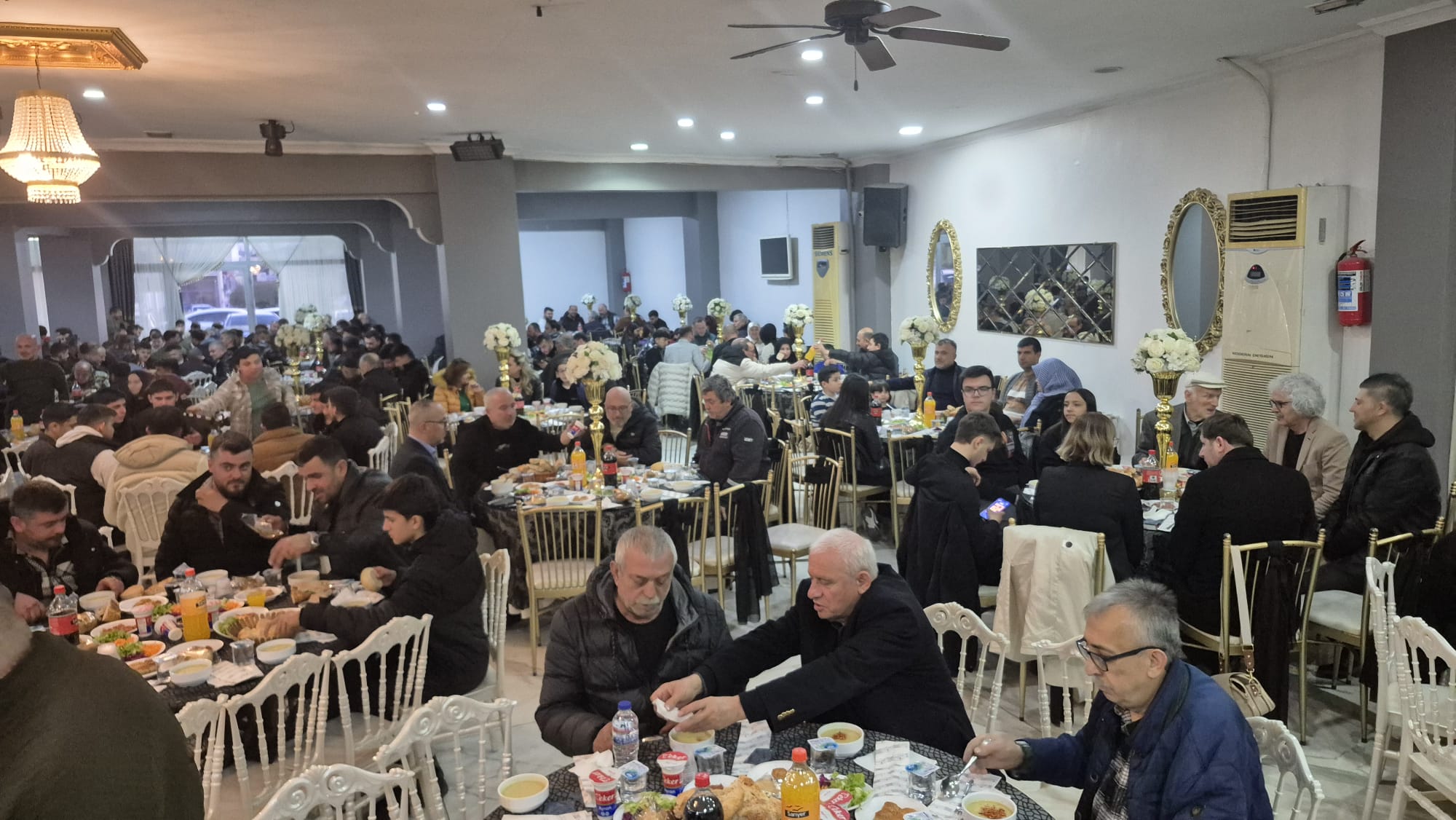 4380D1F3 19F2 4E38 8Cdc 734E9B3Cbc8B