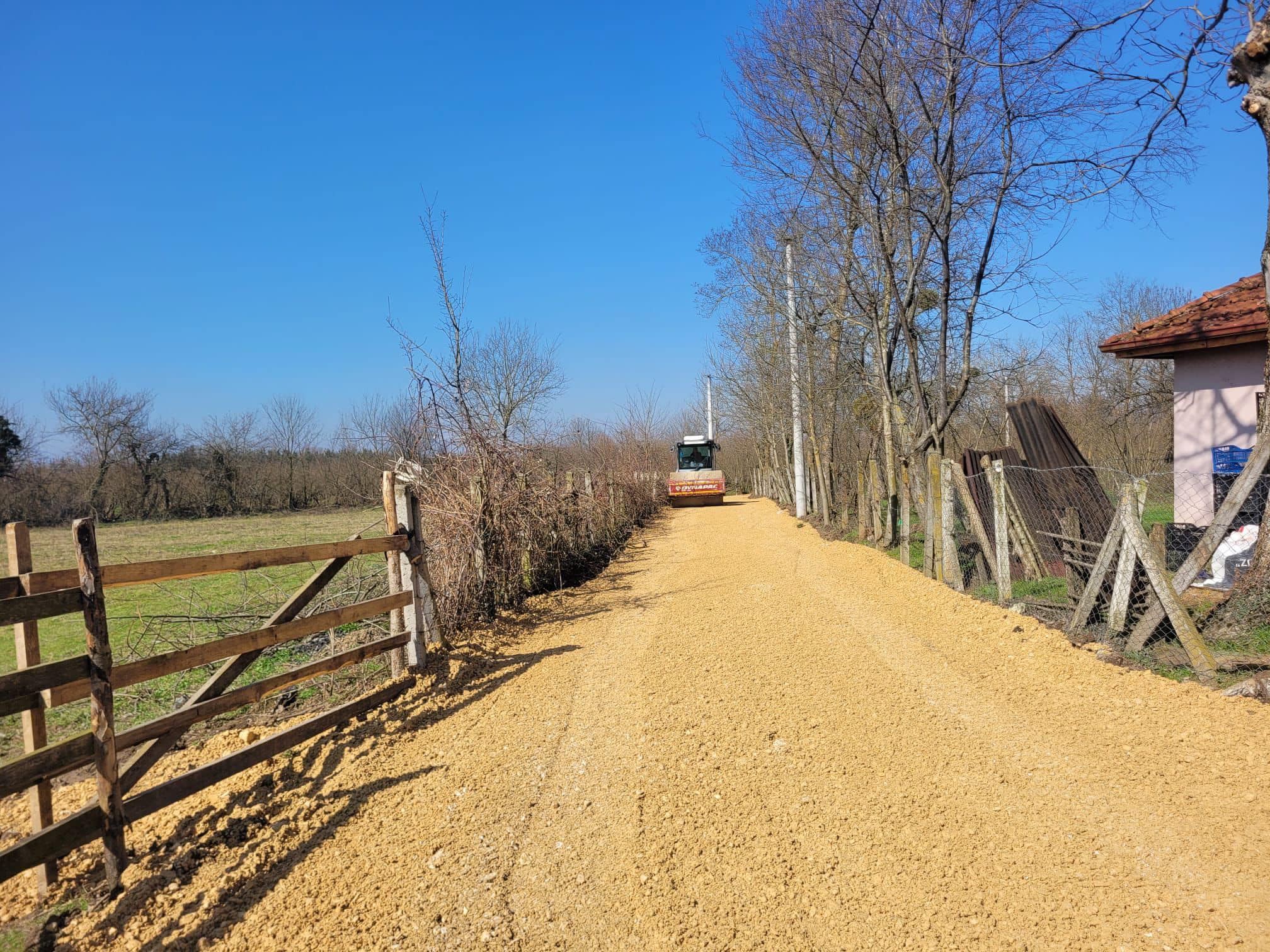 481814313 1148812700251704 31377521449189635 N