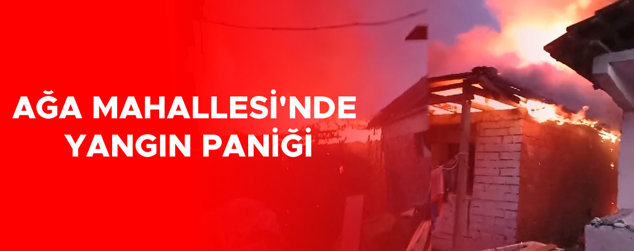 TEK KATLI EV ALEVLERE TESLİM OLDU