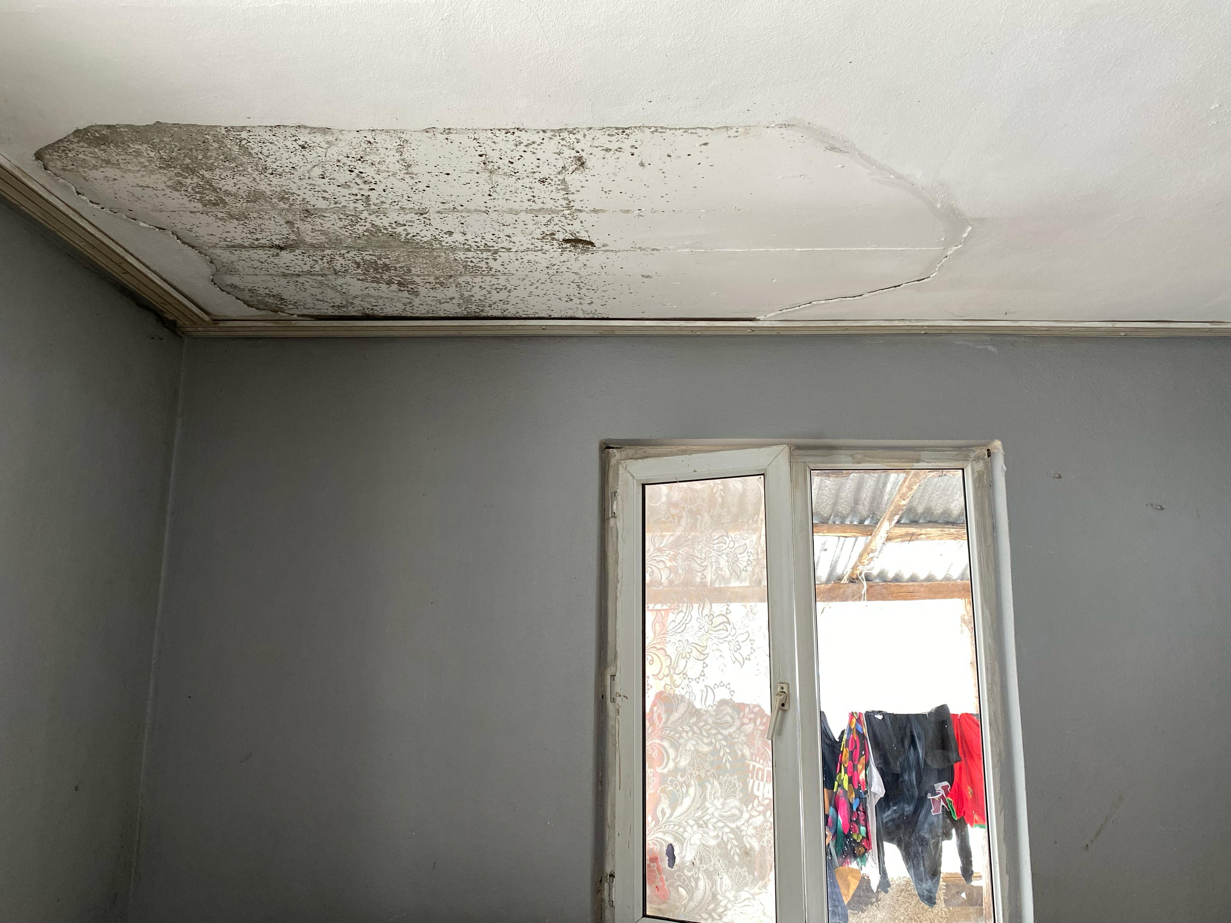 Whatsapp Image 2025 03 01 At 11.18.17 (1)