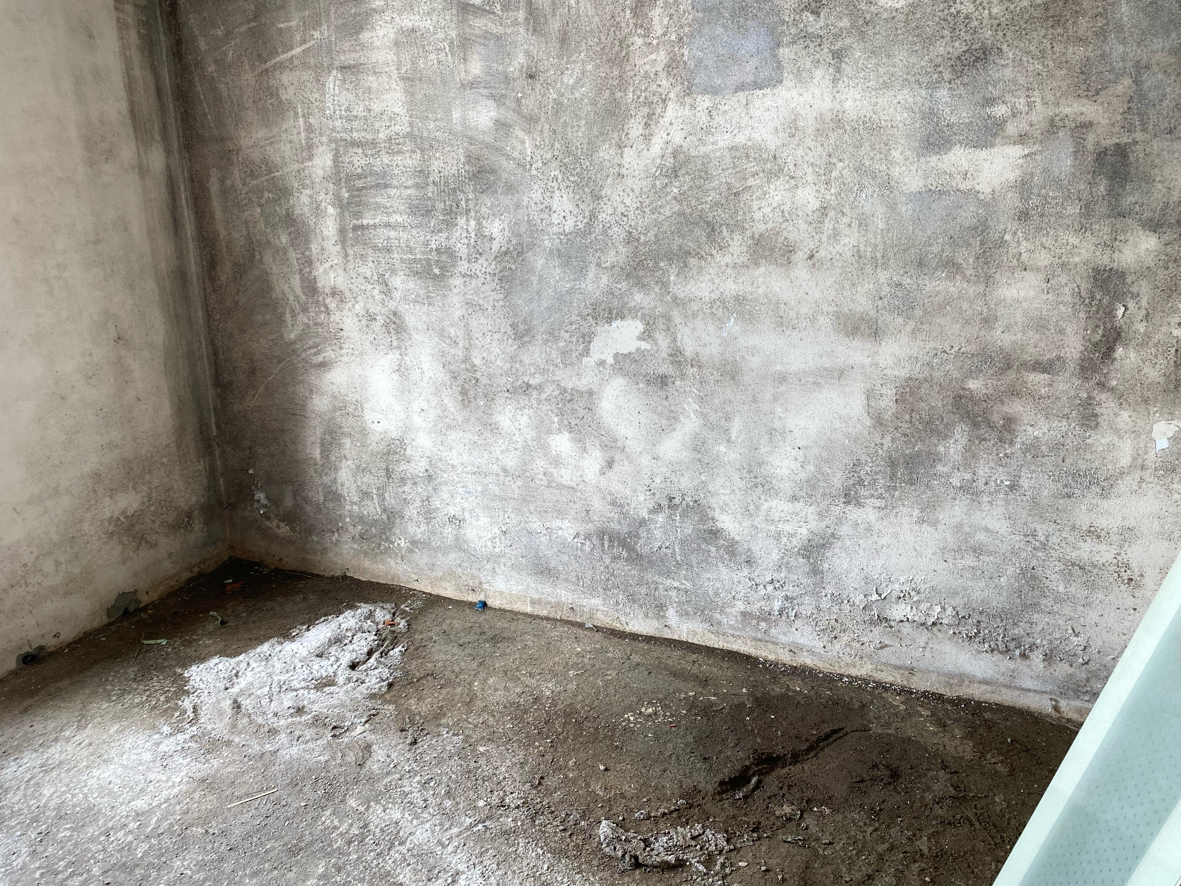 Whatsapp Image 2025 03 01 At 11.19.26