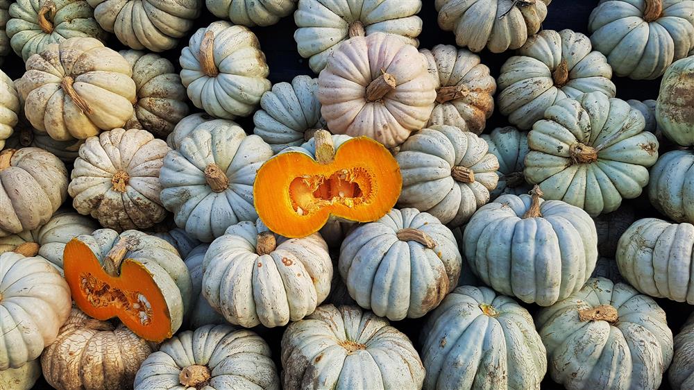 286115,Kestane Kabagi