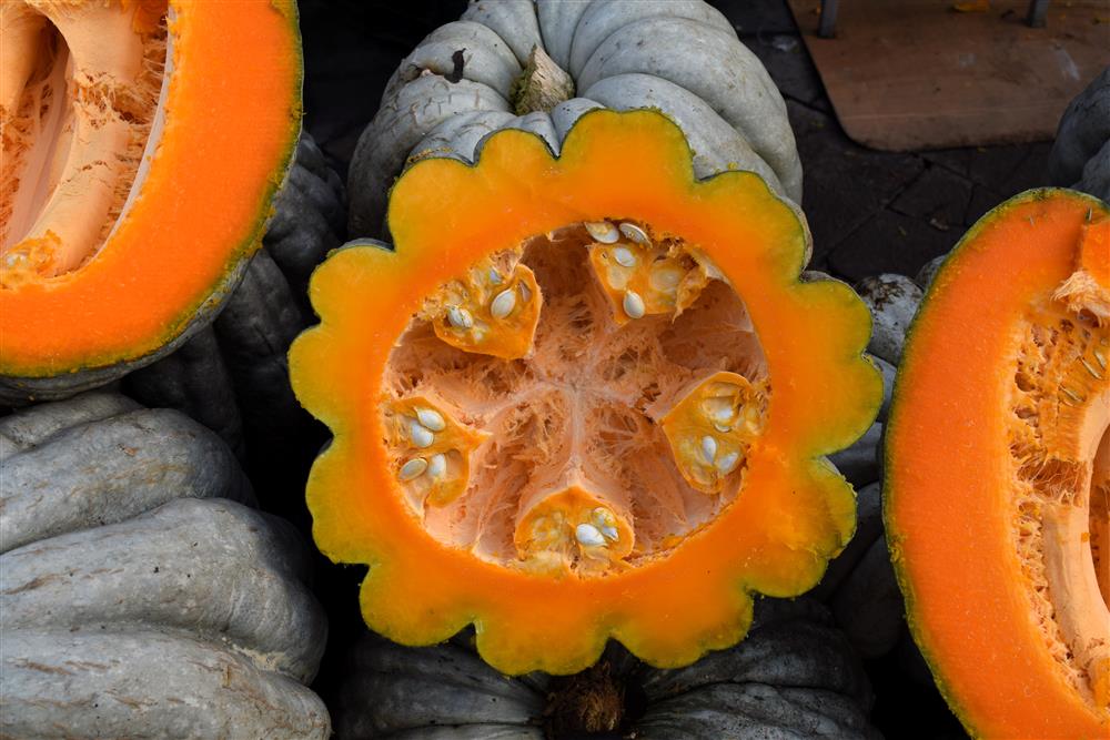 459587,Duzce Kabagi Lezzet Senligi 28 30 Aralik 2018 Belediye