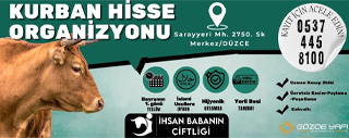 Reklam Bloğu