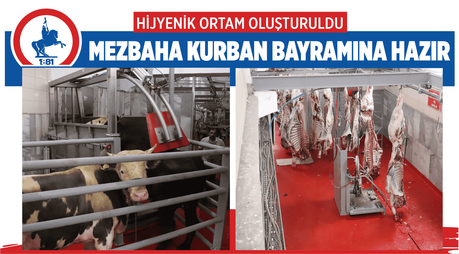 8164 Haber