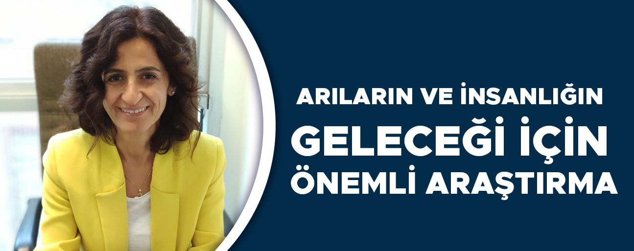 KEKEÇOĞLU: KISA VADEDE KORKULACAK BİR DURUM YOK