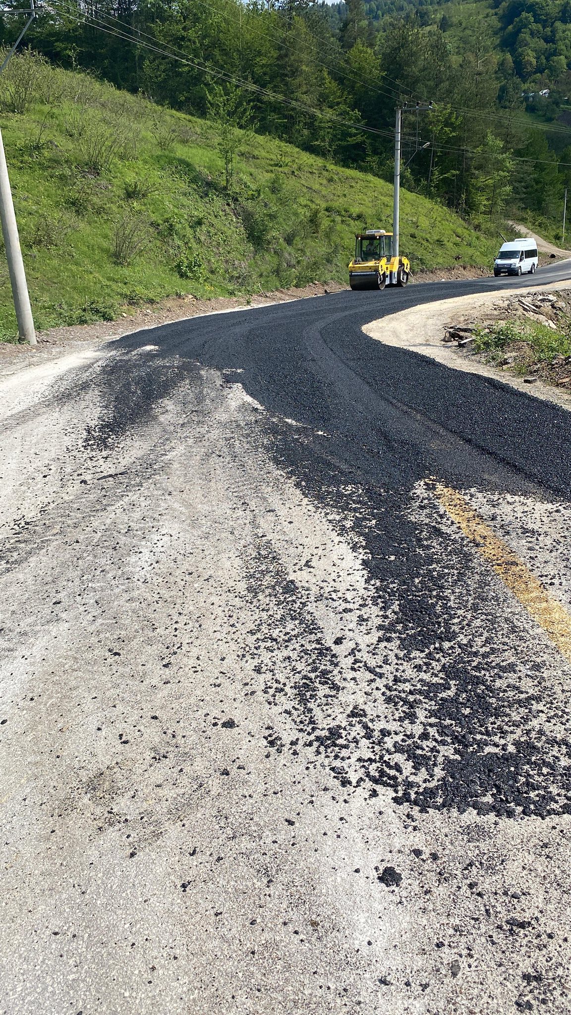 503274933 1215213326944974 6643368971807706538 N