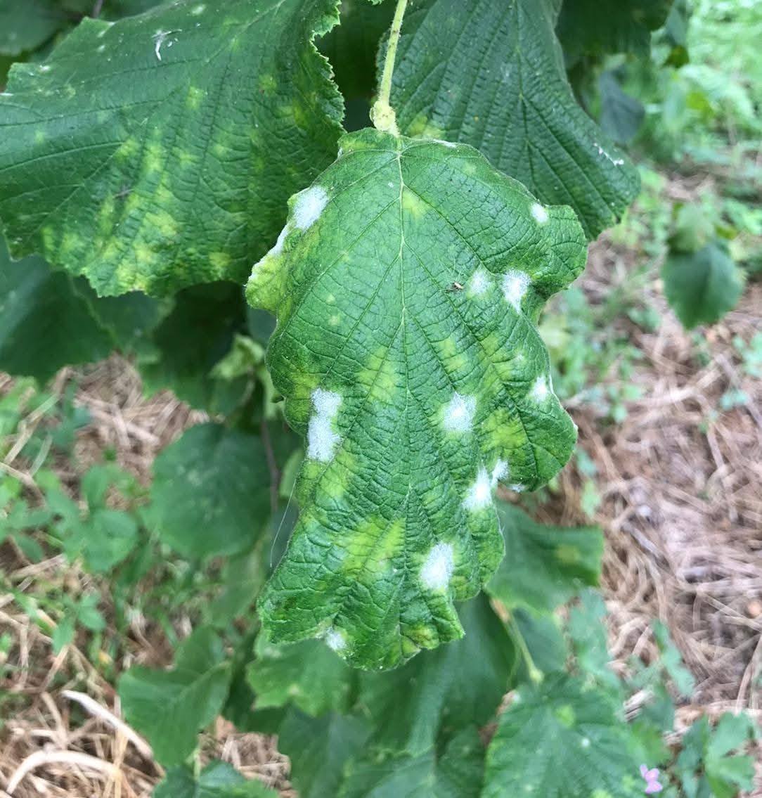 504378195 2359858111078308 5771005457260401795 N