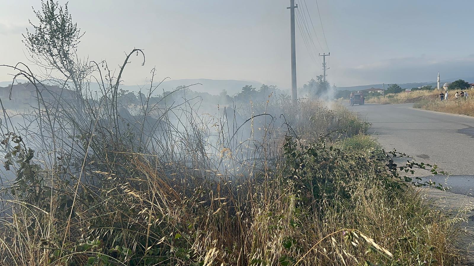 A A 20250612 38259639 38259638 D U Z C E D E C I K A N Y A N G I N D A 5 D O N U M L U K O T L U K A L A N Y A N D I