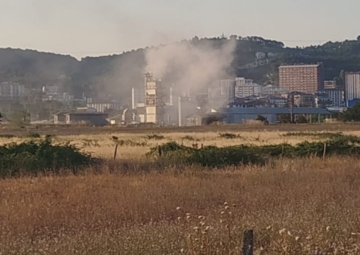 Beltaş3