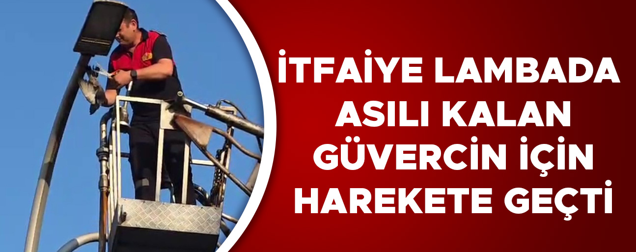 AKÇAKOCA’DA YAŞANAN O ANLAR VATANDAŞ KAMERASINA YANSIDI