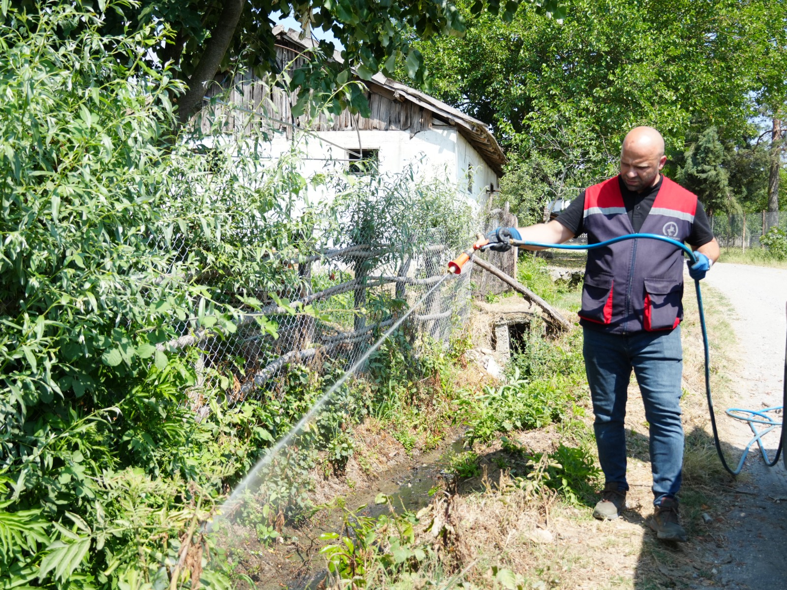 Vektör Mücadelesi (10)