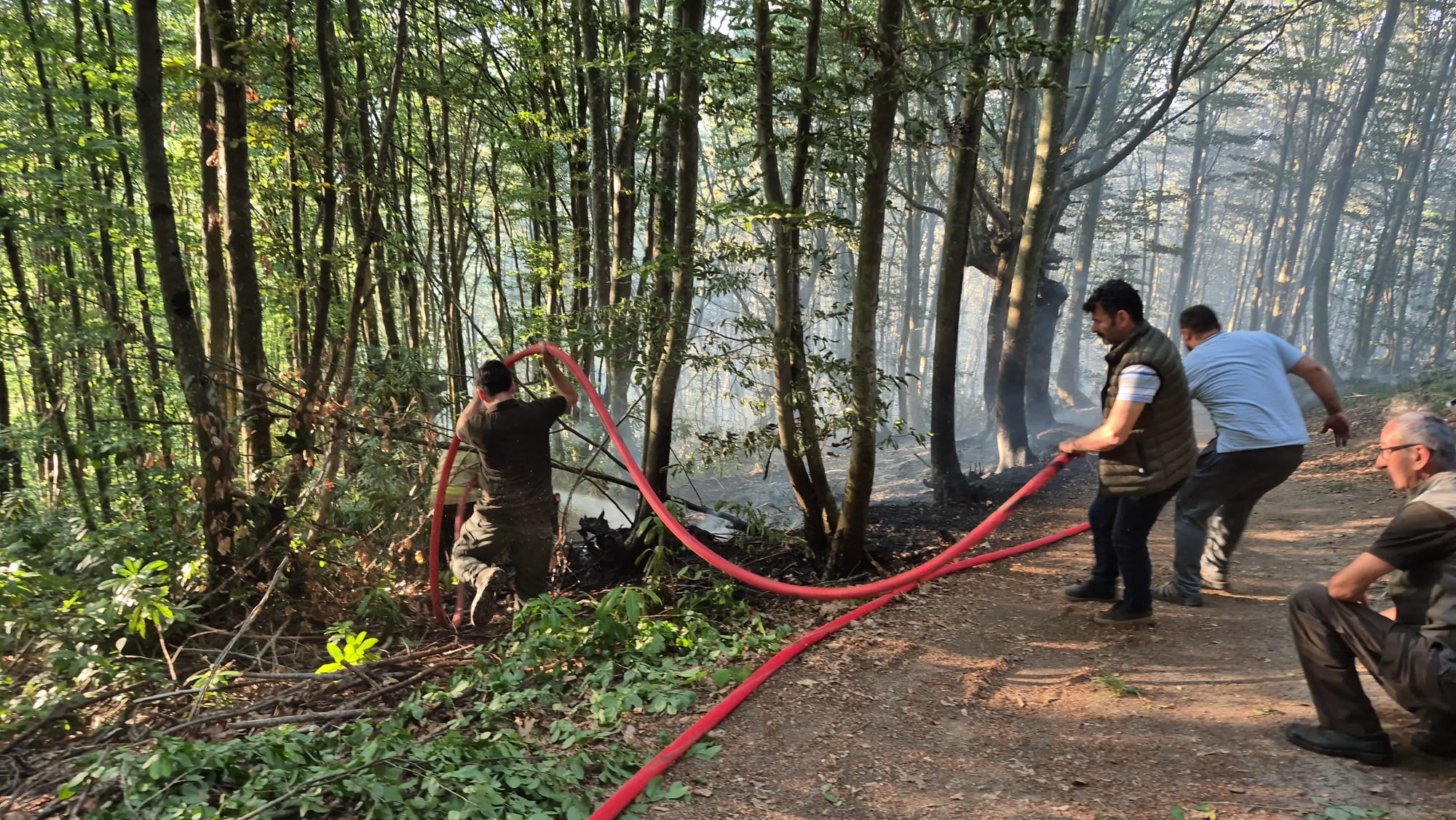 Whatsapp Image 2025 06 24 At 19.31.00