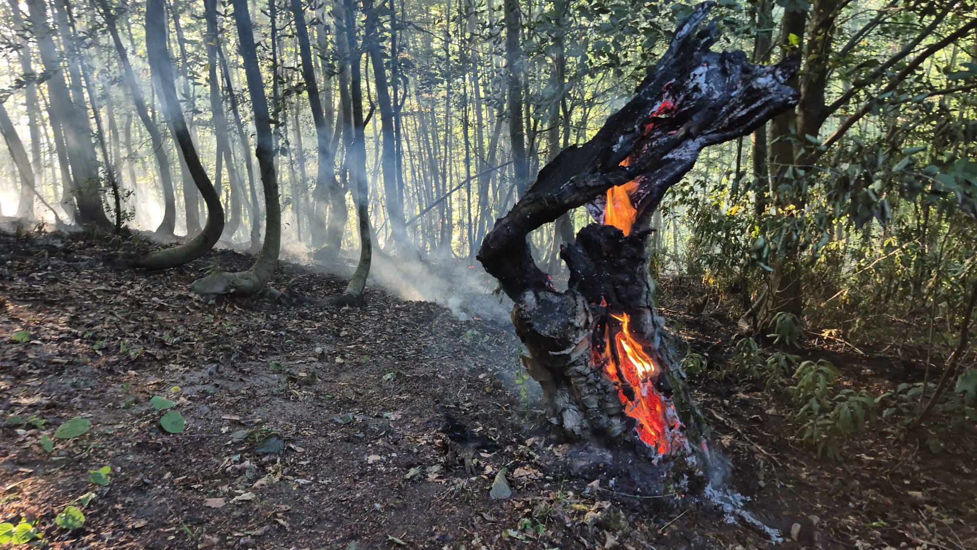 Whatsapp Image 2025 06 24 At 19.36.25