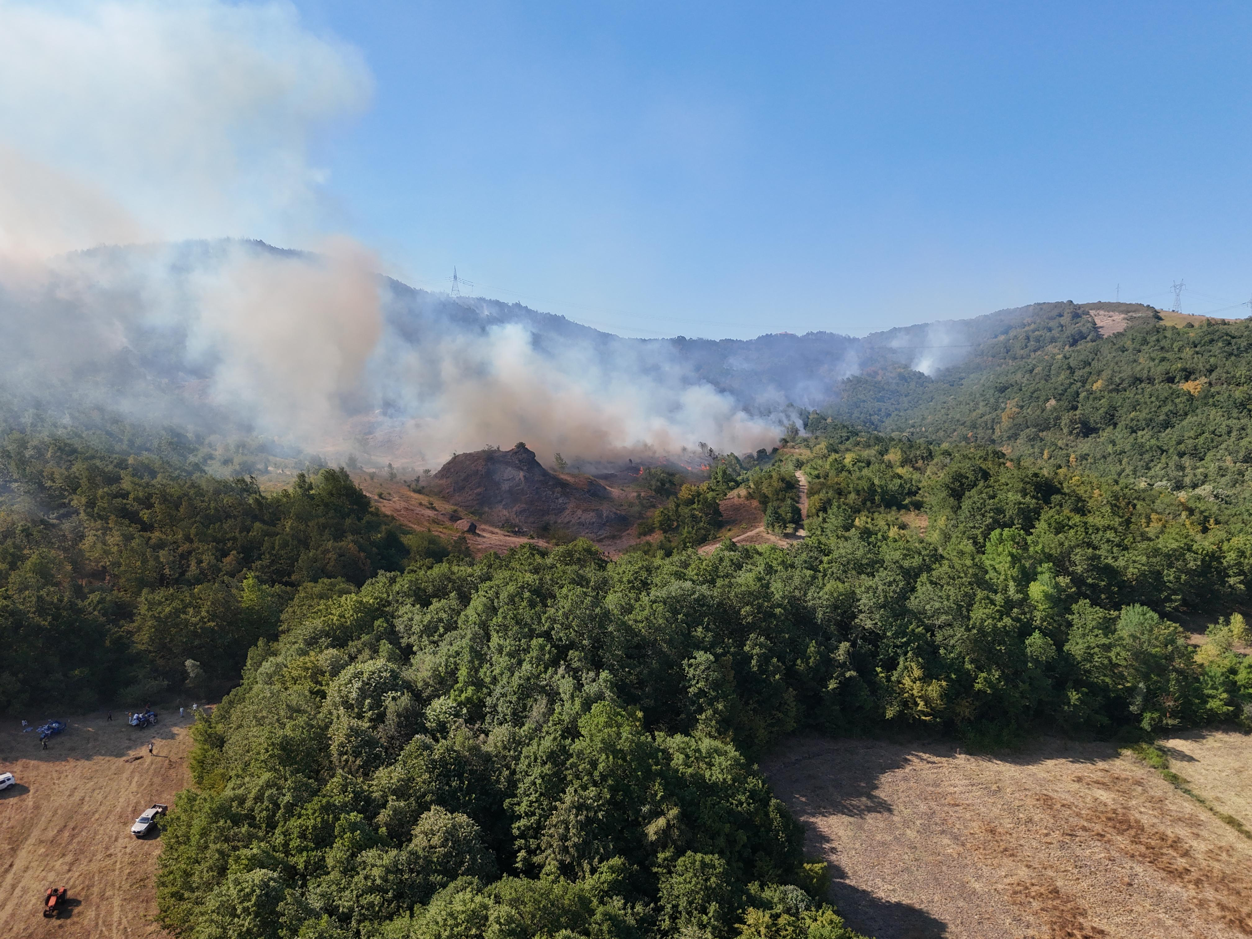 A A 20250726 38671217 38671206 S A K A R Y A D A O R M A N L I K A L A N D A C I K A N Y A N G I N A M U D A H A L E E D I L I Y O R