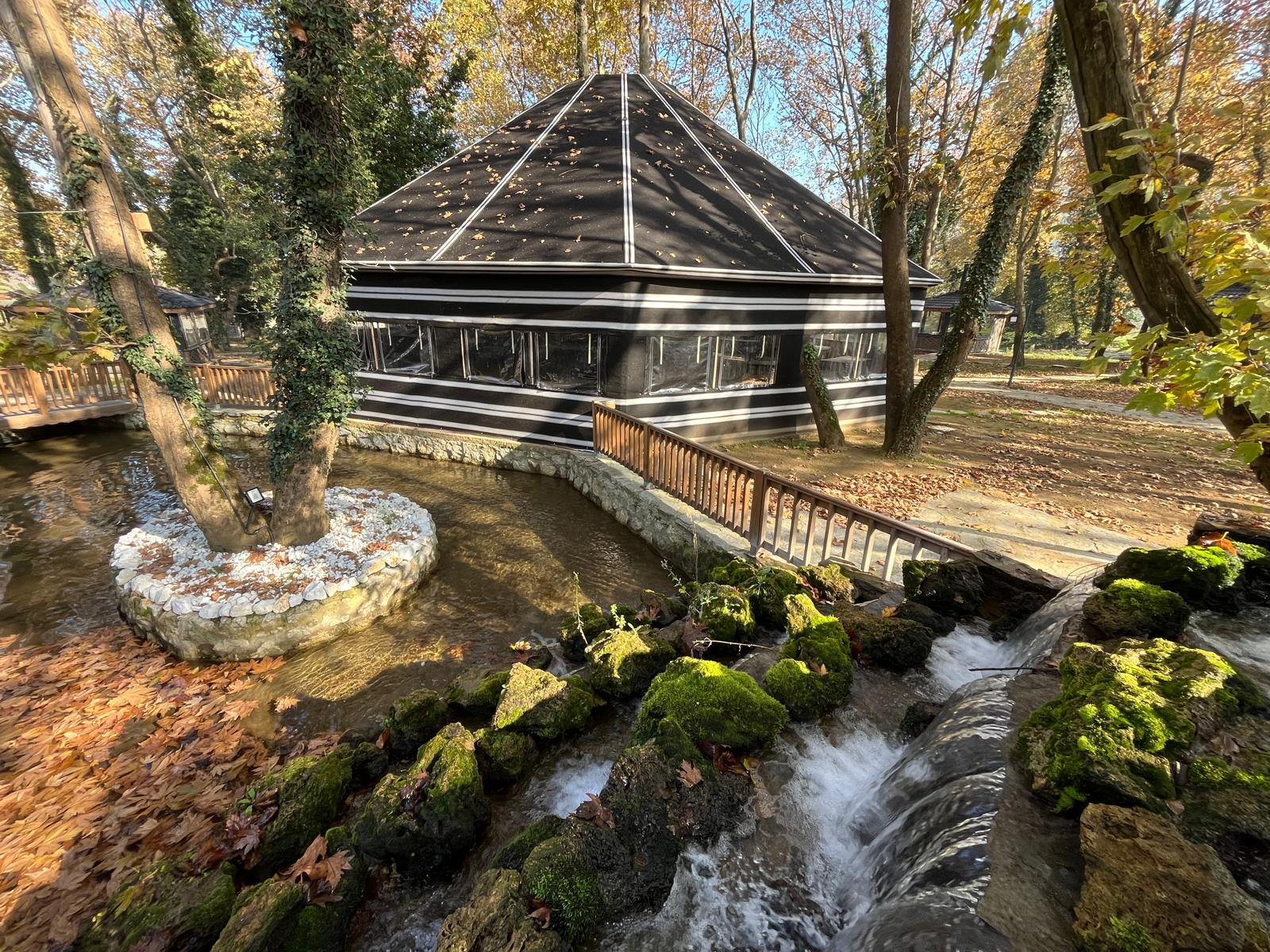 I M G 20241124 W A0029-1