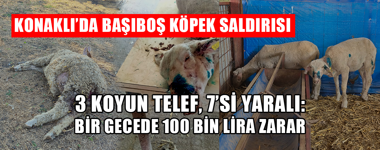KÖY HALKI YETKİLİLERE SESLENDİ:  KÖYDE GEZMEYE KORKAR OLDUK