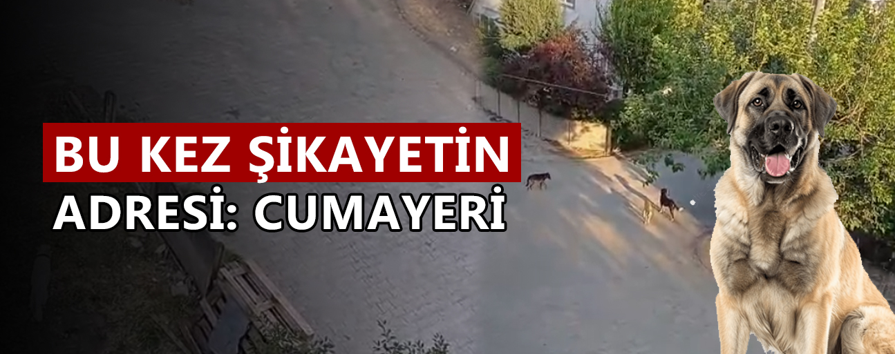 “ÇOCUKLAR DIŞARI ÇIKAMIYOR”