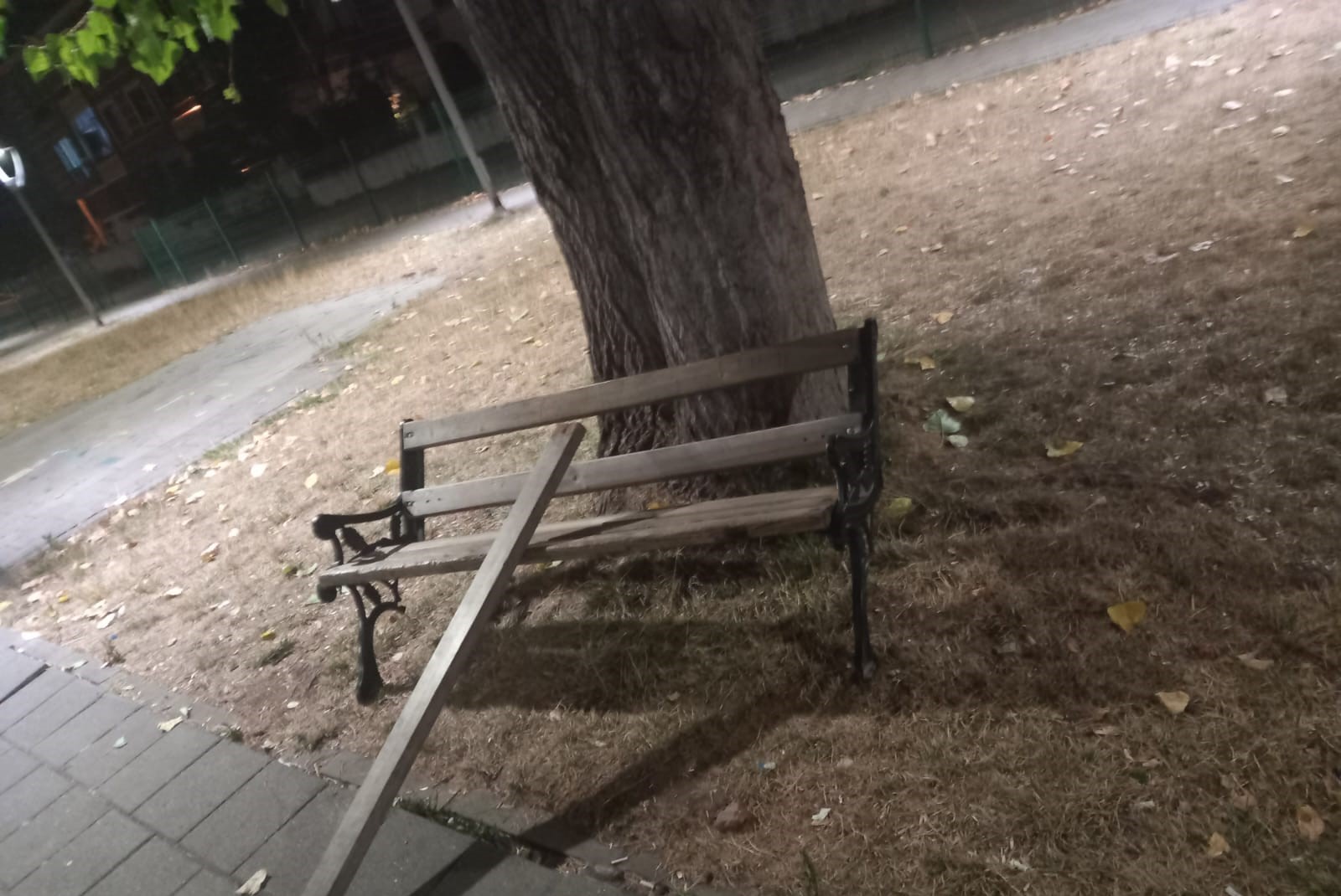 Whatsapp Image 2025 07 15 At 11.43.00