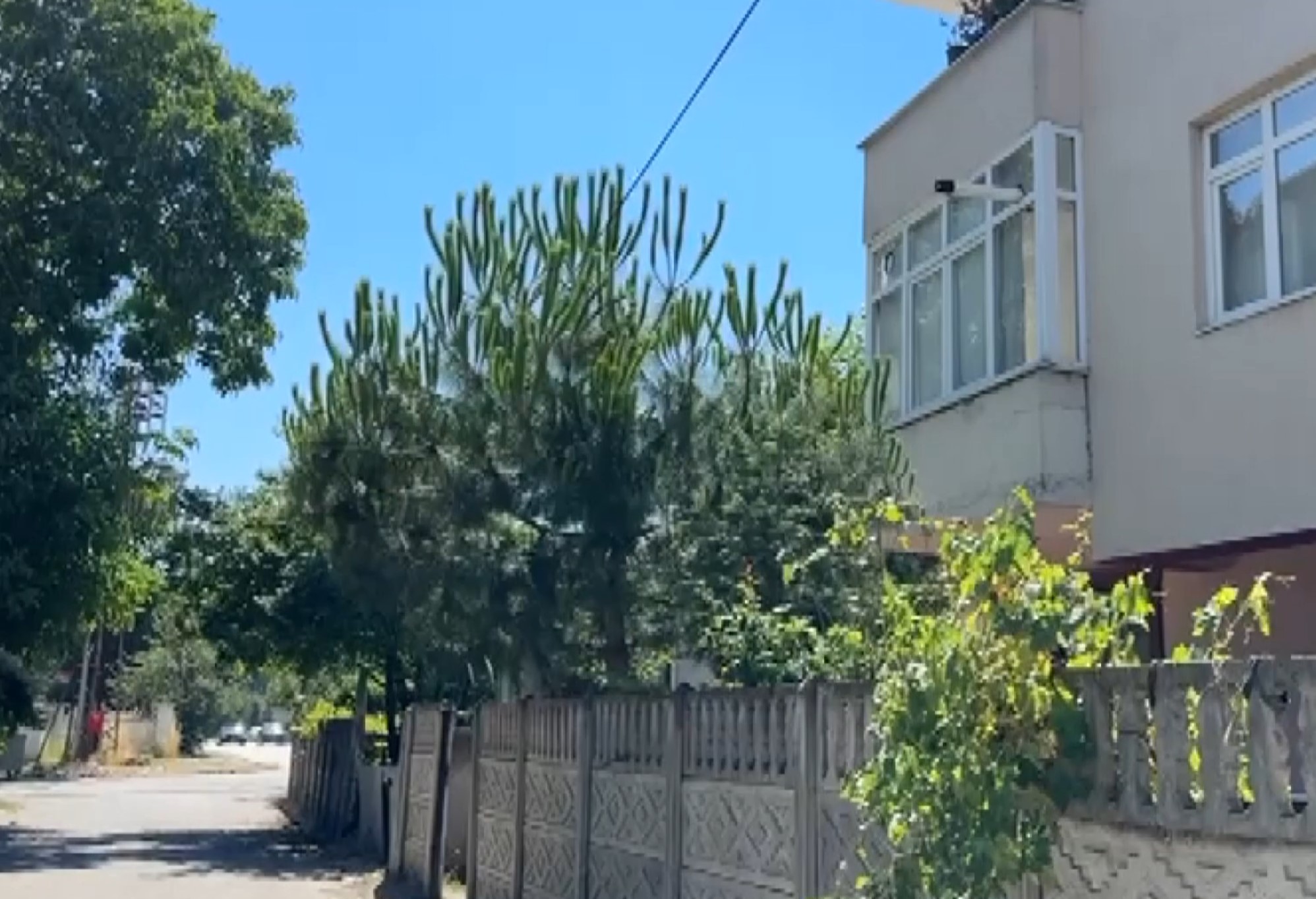 Yusuf Yeşi̇ldağ 2