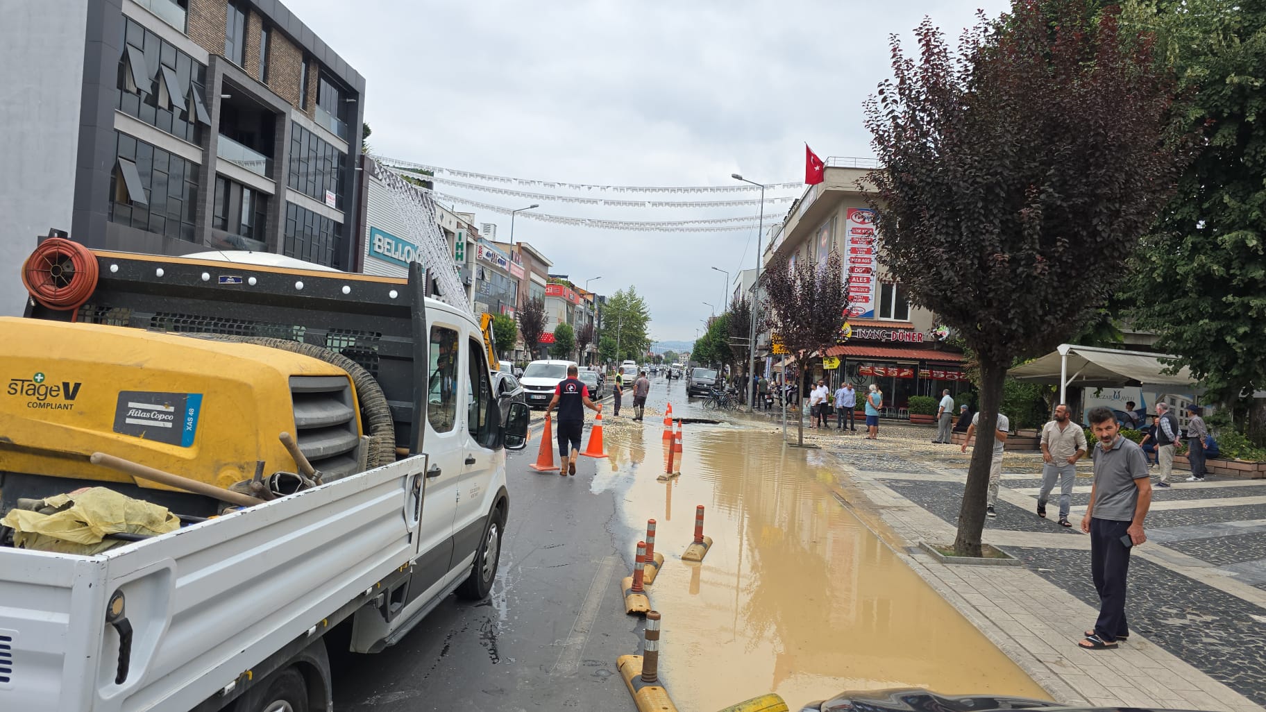 1100F837 Ea98 49D9 B9C8 F8519888Ad3D