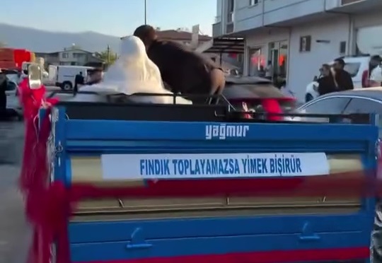 12025 08 11 13H27M27S130