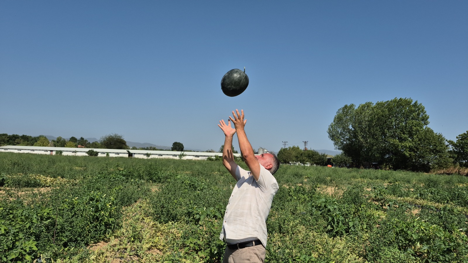 1C248Dd7 A8Ec 48E5 965E 3787C3515Ffd