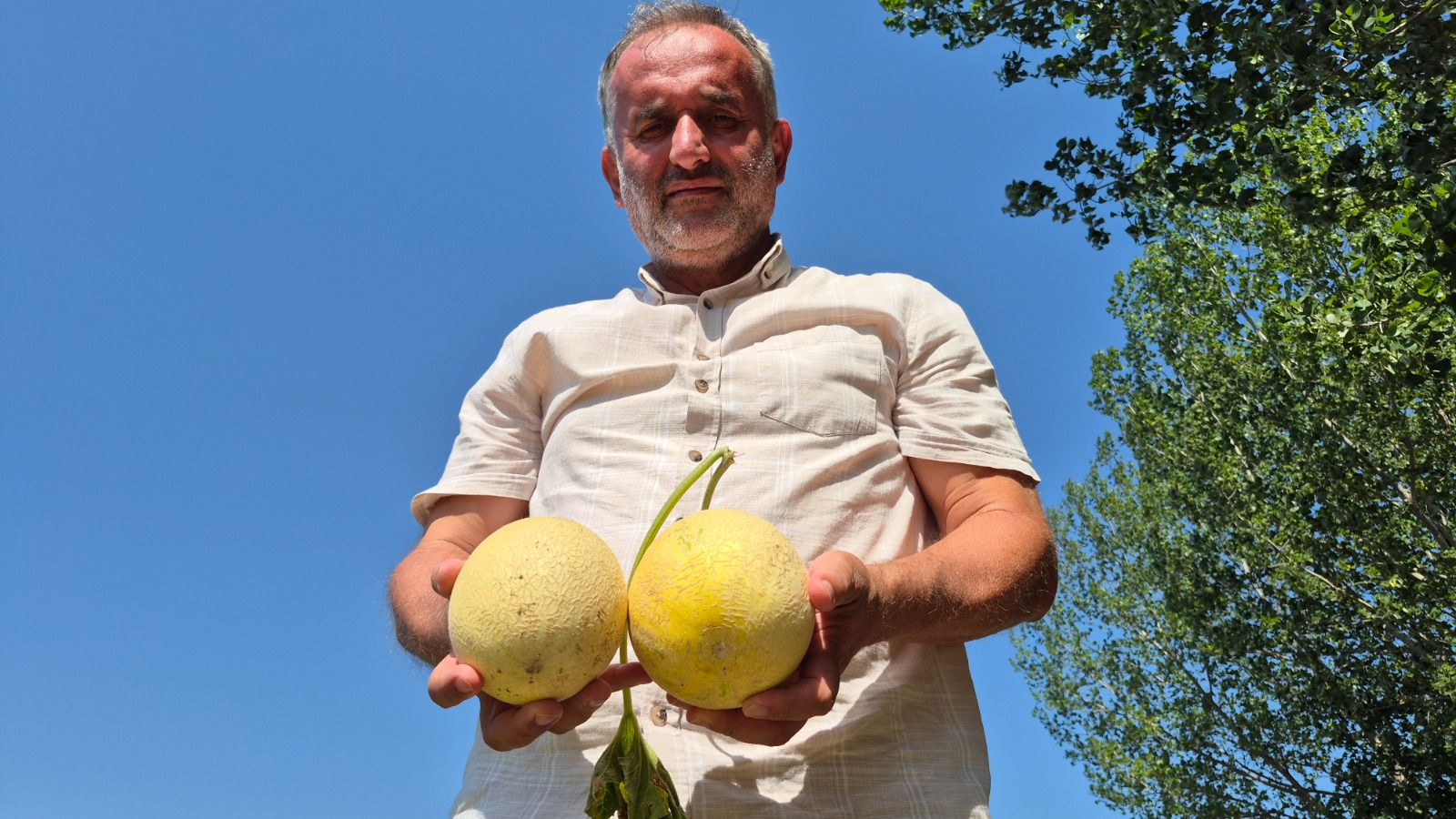 3A95C56C 6D49 49D4 A80F 41Fbd1E483Be