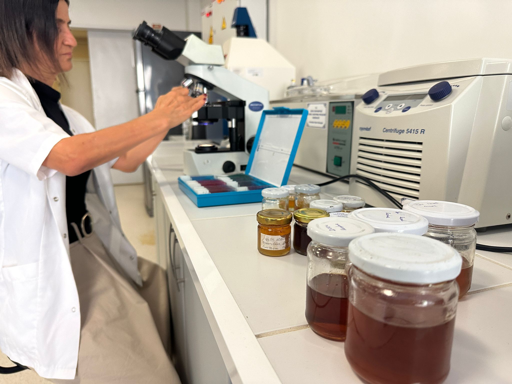 587A4Fdb 7Be1 4D85 9A9C A827Cc18499C