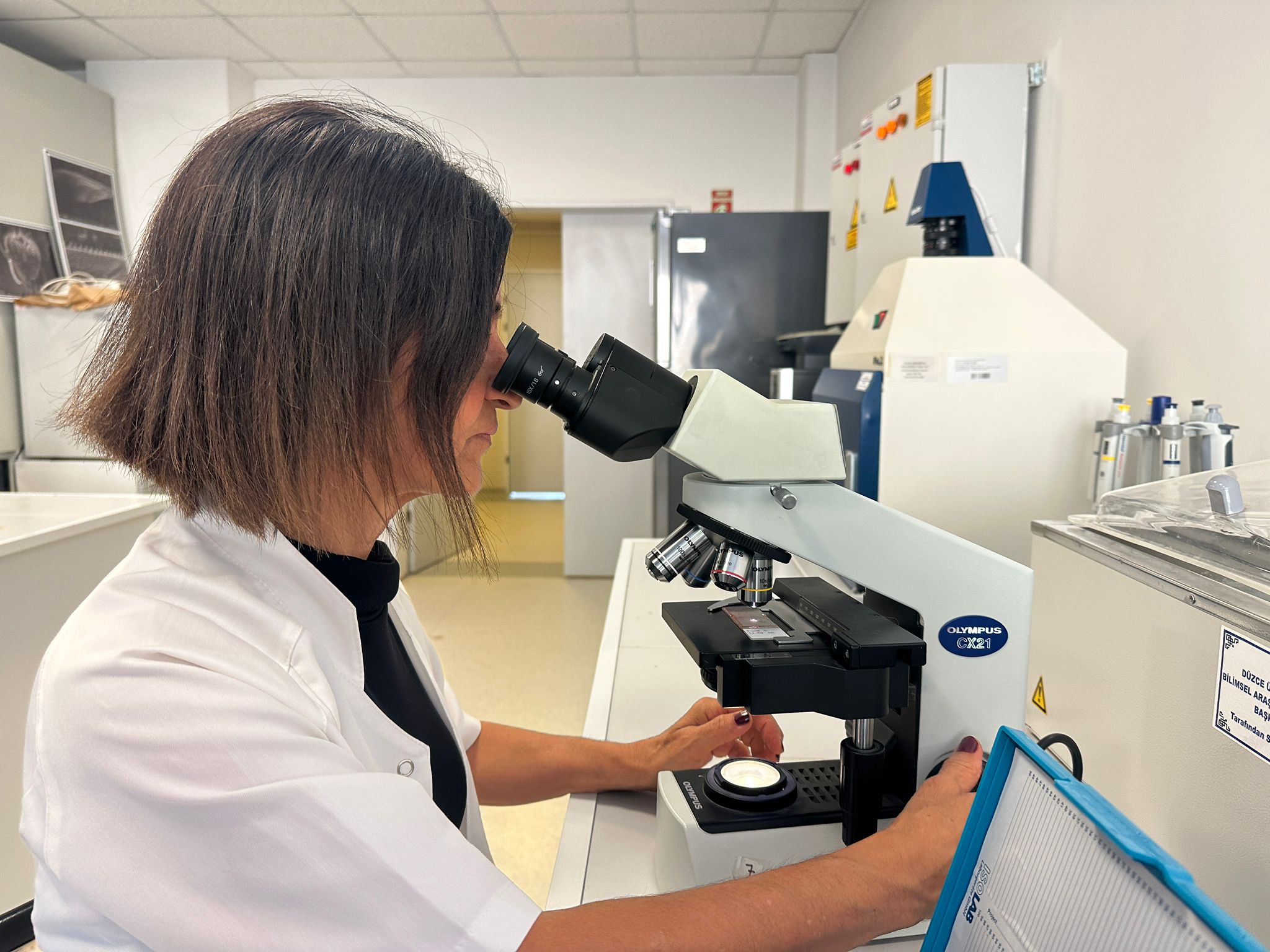 607921D2 B6C7 4F5F 87Da 622E04A6D45C