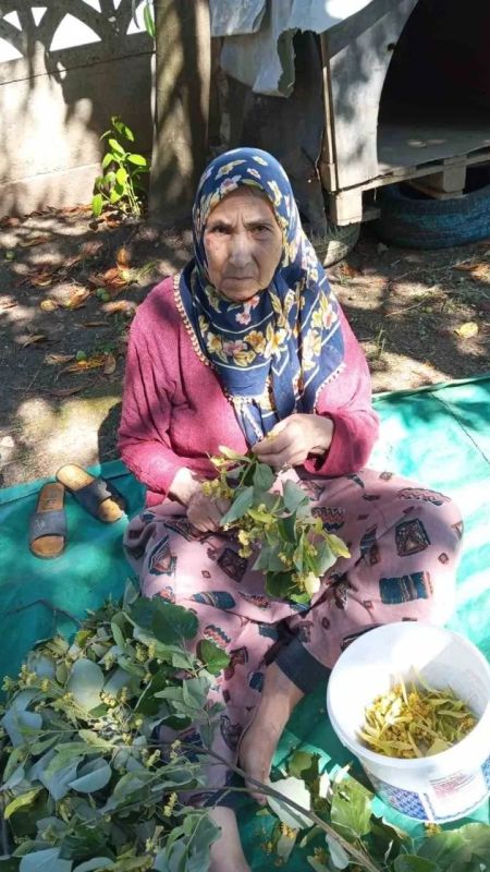 64371D92 A658 41B7 Ba7B B2499B6598C7 1756450544